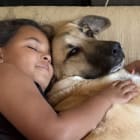 Koda