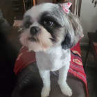 Saydee