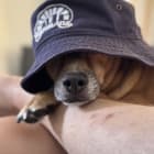 Woofston