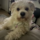 Charlie