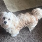 Charlie