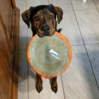 Brody Bjourn