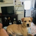 BENNY