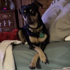 Maggie Mae