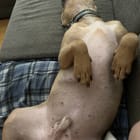 Casey