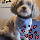 Franklin