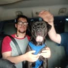 Buddy