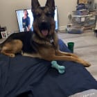 Roscoe