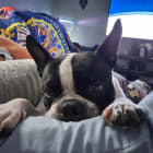 Maggie