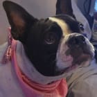 Maggie