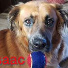 Isaac