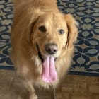 Charlie