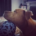 Duke