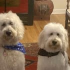 Max and Shelby