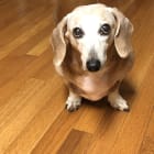 Lily - Ruby