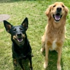 Kona and Charlie