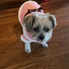 Lilly