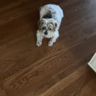 Lilly