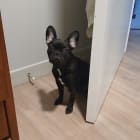 Little man