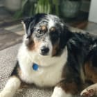 Millie