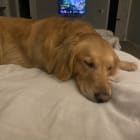 Sadie Stella