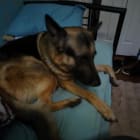 Lu