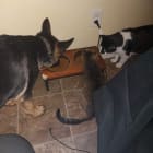 Lu