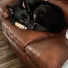 Milo