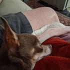Minnie