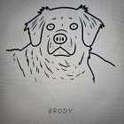 Brody