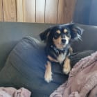 Cao Cao