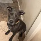 Slick