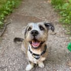 Frankie