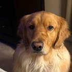 Tucker Major and Shadow