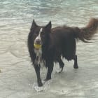 LOKI