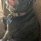 Mr Miyagi