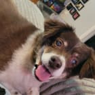Miss JoJo