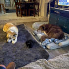 Charlie and Chloe
