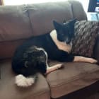 Charlie and Chloe