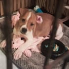 Benny