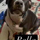 Bella