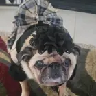 ZOEY