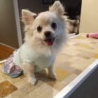 Bubbles