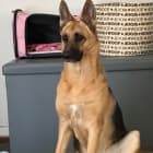 Maggie