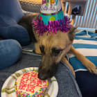 Maggie
