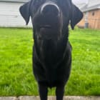 Ruthie
