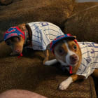 Wrigley and Rizzo