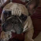 Axle