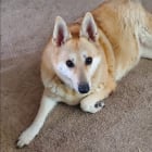 BabyZeus
