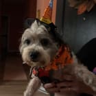 Zoey